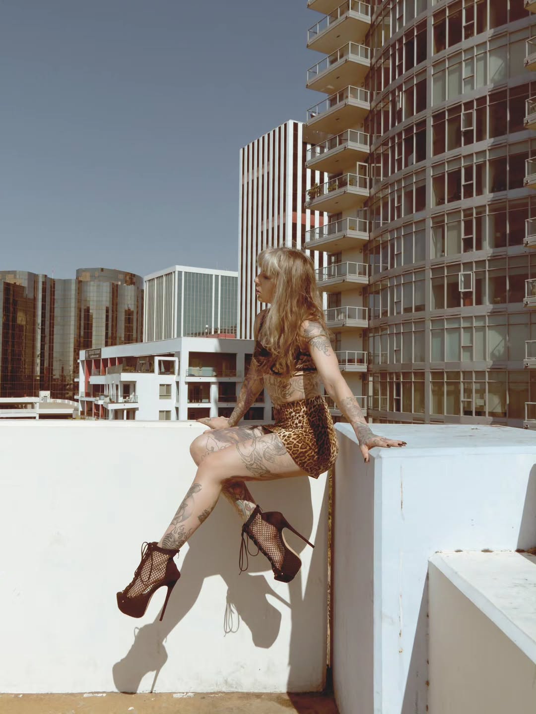 ✨️ Concrete jungle. ✨️