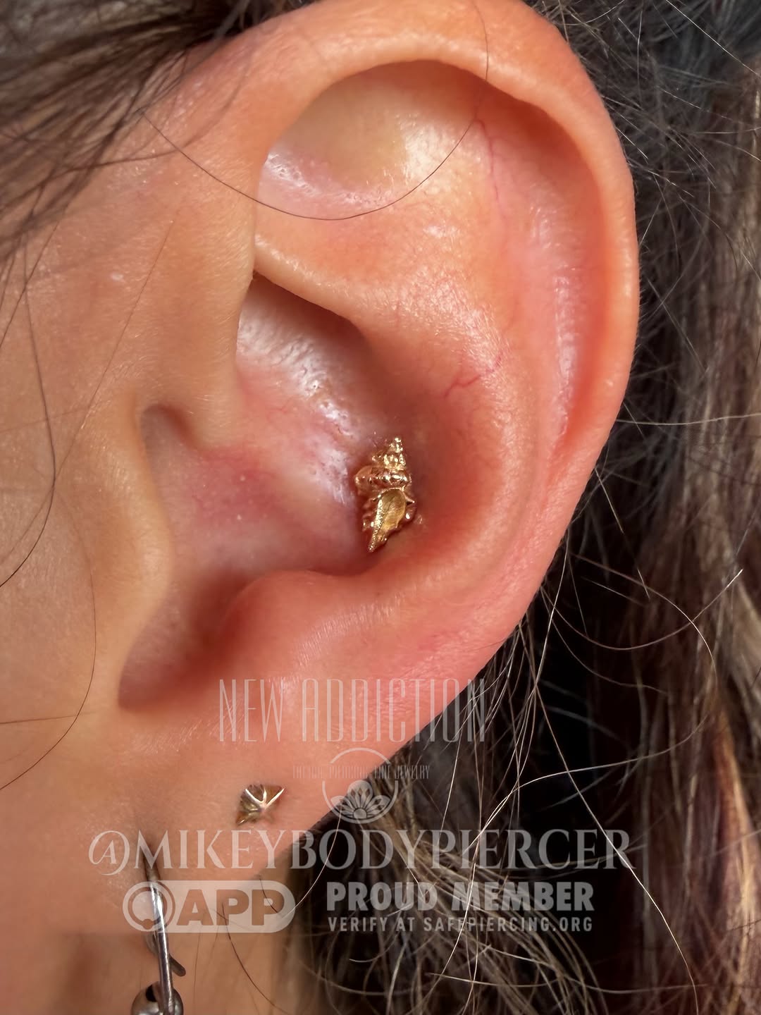 Another Conch….both meanings apply! 🐚😉